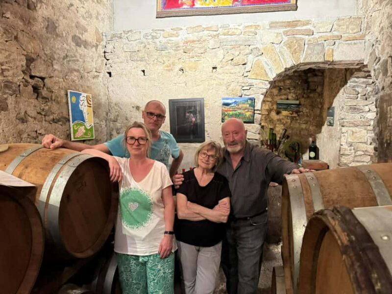 Château Villemagne: Tour of the cellar and tasting of our wines. - Exploring Château Villemagne: A Detailed Review