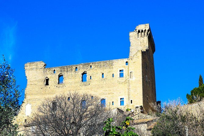 Châteauneuf Du Pape intensive vineyard & fine wine experience - The Lunch Stop: Flexibility and Recommendations
