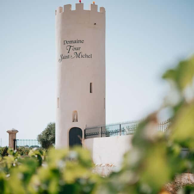 Châteauneuf-du-Pape: tour/tasting in the heart of Domaine Tour St Michel - Key Points