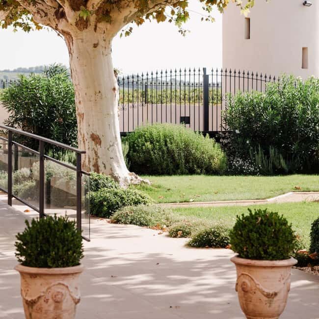 Châteauneuf-du-Pape: tour/tasting in the heart of Domaine Tour St Michel - The Value for Money