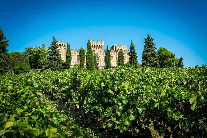 Chateauneuf du Pape wine tour - Who Will Love This Tour?