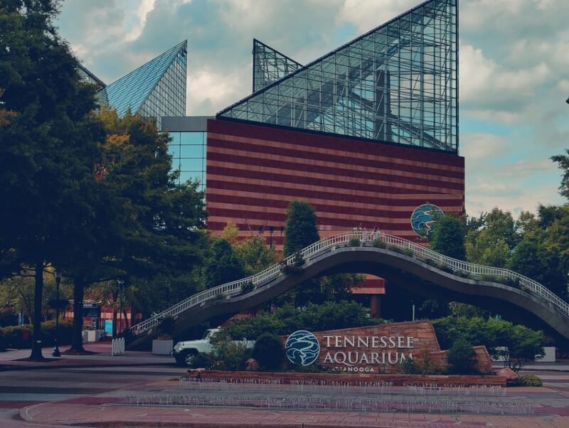 Chattanooga: The Flash City Sightseeing Tour by Trolley - The Experience: What Our Reviewers Say