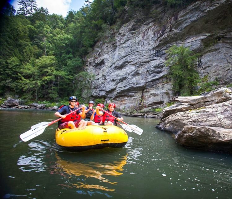 Chattooga: Chattooga River Rafting with Lunch - Who Will Love This Tour?