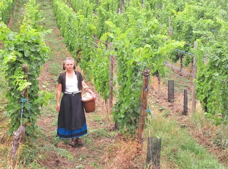 Check out the Heart of Alsace in Riquewihr - The Sum Up