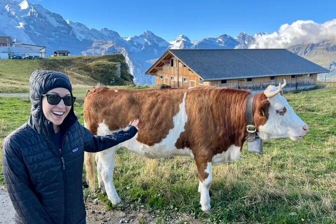 Cheese and chocolate on mountain summit - Who is this tour best suited for?