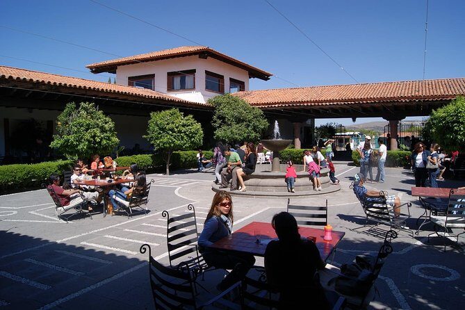 Cheese and Wine Route Tour with starting from Querétaro - A Deep Dive into the Cheese and Wine Route Experience