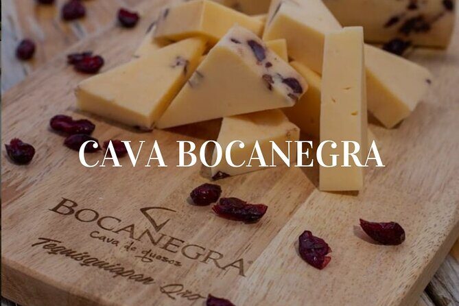 Cheese and Wine Route with 2 Towns, starting from Querétaro - The Sum Up