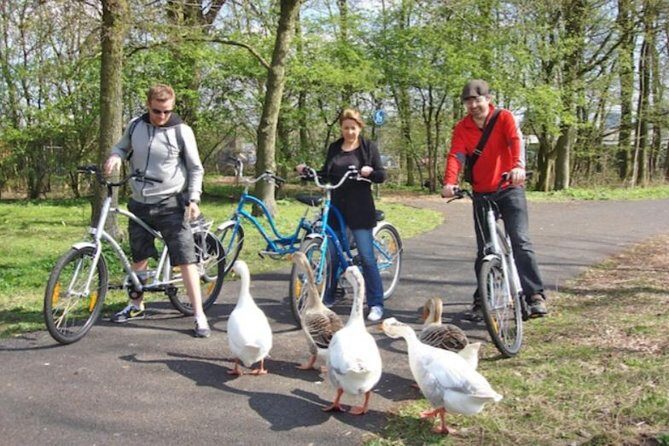 Cheese, Canals & Windmill Countryside E-Bike Tour Amsterdam - Analyzing the Value