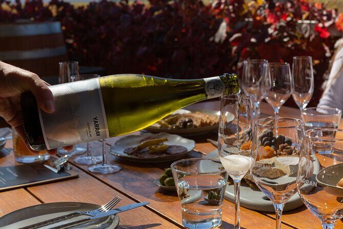 Cheese + Chill - Introduction