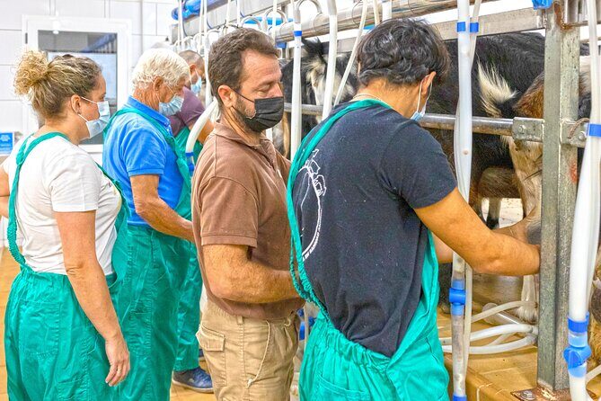Cheese Making Workshop in Fuerteventura with Breakfast - Who Will Love This Experience?