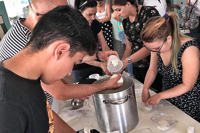 Cheesemaker for a day & visit to the dairy - Authentic Sardinian Cheese-Making: A Truly Unique Experience