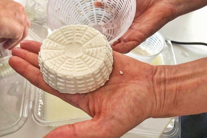 Cheesemaker for a day & visit to the dairy - FAQ