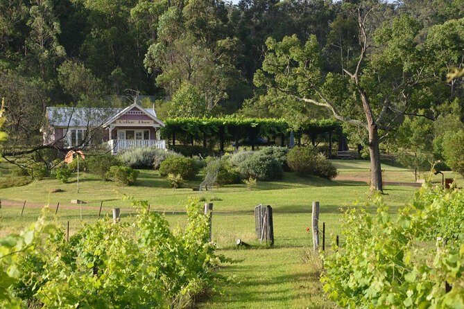 Chef-Led Hunter Valley Gourmet Food and Wine Day Tour from Sydney - A Detailed Look at the Tour Experience