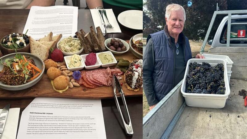 Chefs Private Martinborough wine tour with Gourmet Lunch - A Taste of Martinborough: Private Wine Tour with Gourmet Lunch – An Honest Review