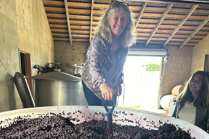 Chefs Private Martinborough Wine Tour with lunch from Wellington - Practical Details and Tips