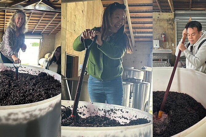 Chefs Private Martinborough Wine Tour with lunch from Wellington - Who Will Love This Tour?