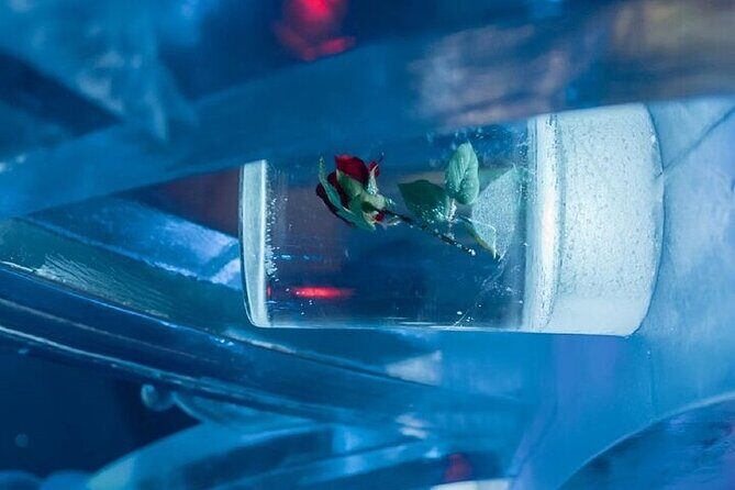 Chena Hot Spring Day Tour - An In-Depth Look at the Chena Hot Spring Day Tour