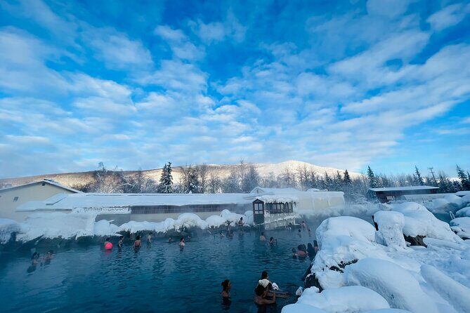 Chena Hot Spring Day Tour - The Details of the Tour: A Step-by-Step Journey