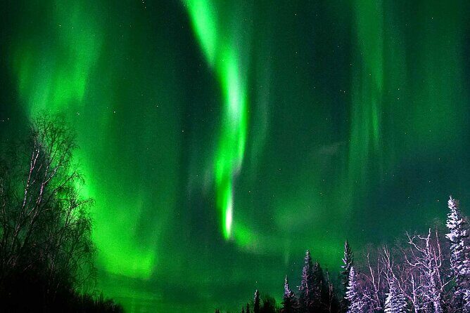 Chena Hot Springs Aurora Tour - Value and Practical Considerations