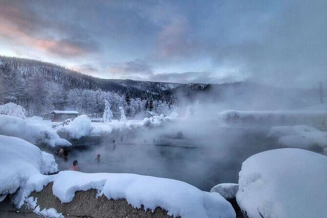 Chena Hot Springs Day Tour with transportation - Key Points