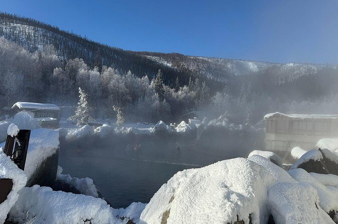 Chena Hot Springs Small Group Tour - What Travelers Say: Authentic Feedback