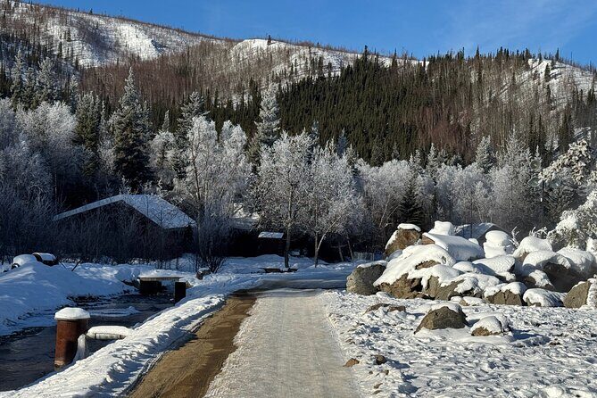 Chena Hot Springs Small Group Tour - Who Will Love This Tour?