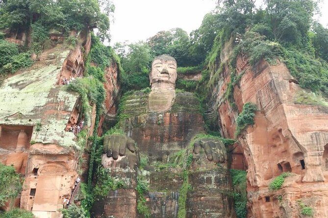 Chengdu Customized Experience: Giant Pandas and Buddha Statue In One Day - Practical Details and Considerations