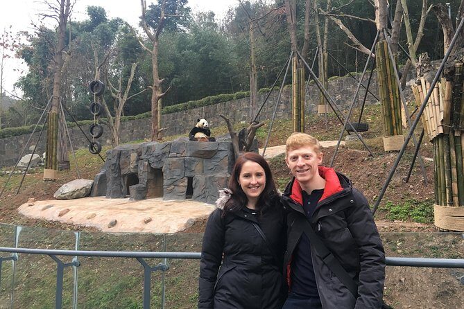 Chengdu Discovery: 4-Hour Giant Panda Base Tour - The Itinerary and What to Expect