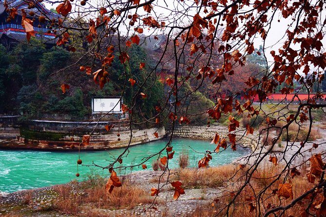 Chengdu Guided Tour of Qingcheng Mountain and Dujiangyan Irrigation - What Sets This Tour Apart?