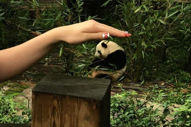 Chengdu Private Day of City Highlights and Panda Experience - A Closer Look at the Itinerary