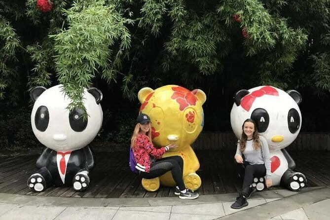 Chengdu Private Day of City Highlights and Panda Experience - Who Is This Tour Best For?