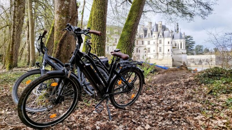 Chenonceau: guided ebike ride and wine & cheese picnic lunch - The Sum Up