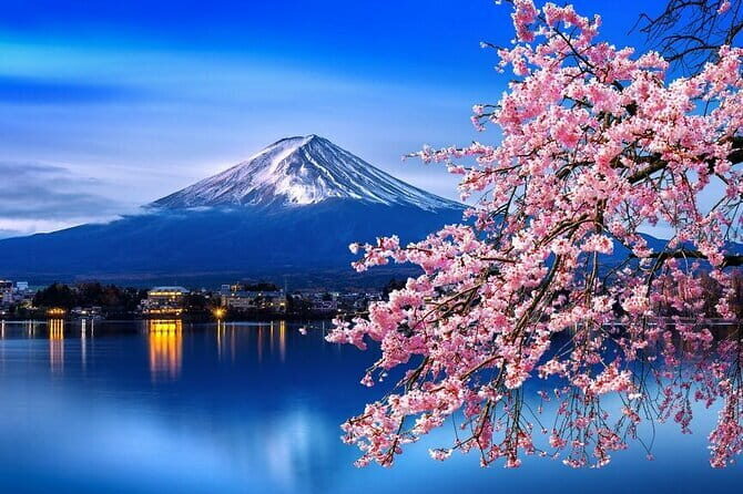 Cherry Blossom Mount Fuji Customizable Luxury vehicle Guided Tour - Final Thoughts