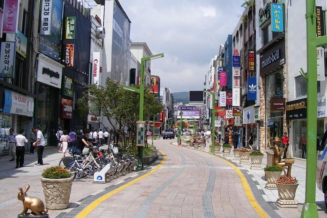 Cherry blossom tour in Busan and Jinhae from Busan - The Sum Up