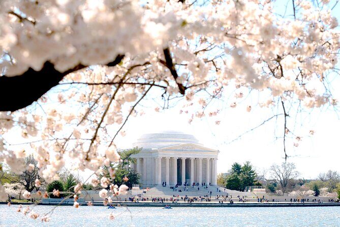 Cherry Blossoms & Monuments Tour with 10+ Stops and Boat Cruise - Key Points