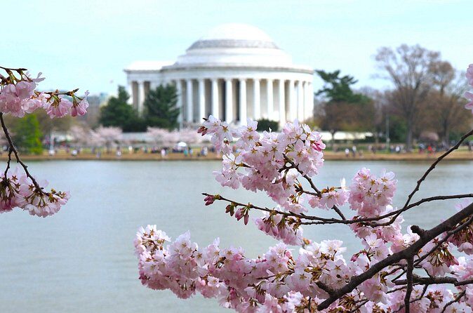Cherry Blossoms & Monuments Tour with 10+ Stops and Boat Cruise - Final Thoughts
