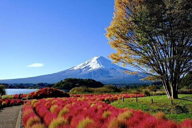 Cherry Blossoms on Mt. Fuji Day Trip with English Speaking Driver - Oshino Hakkai: Clear Waters and Mt. Fuji Close-Ups