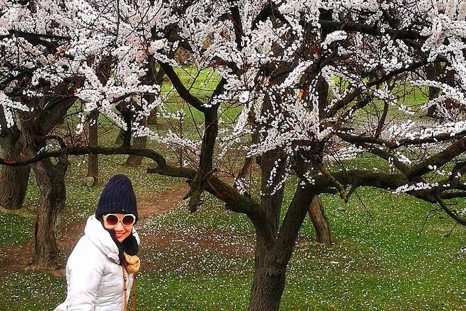 Cherry Blossoms Trip to Northern Areas of Pakistan 2020 (8D 7N) - The Itinerary: What You Can Expect