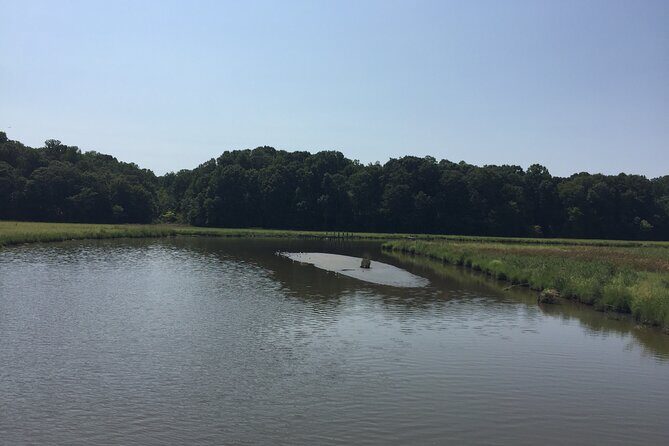 Chesapeake Beach Guided Walking Tour - Railway Trail - Who Will Appreciate This Tour?