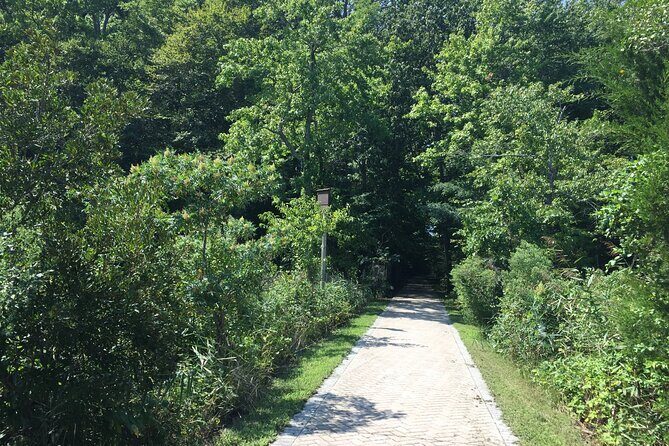 Chesapeake Beach Guided Walking Tour - Railway Trail - The Sum Up