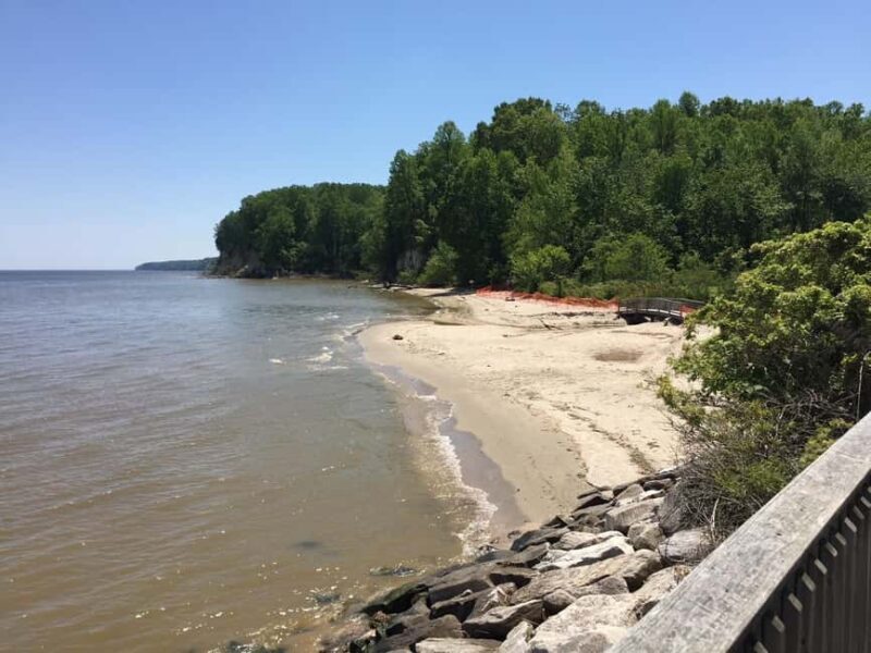 Chesapeake Beach: Guided Walking Tour to The Cliffs - A Detailed Look at the Tour Experience
