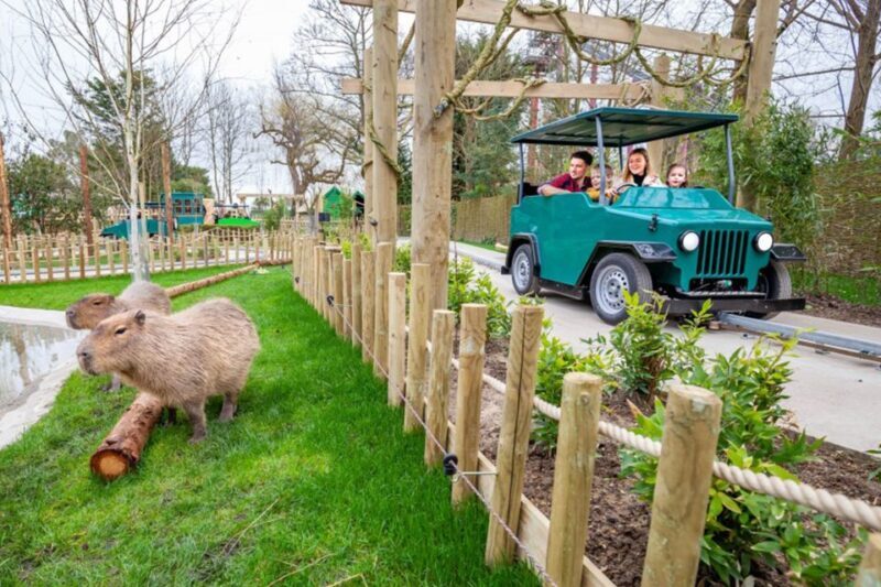 Chessington World of Adventures Resort: Entrance Ticket - The Sum Up