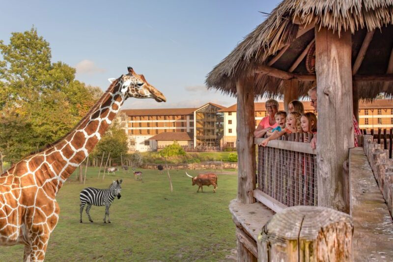 Chessington World of Adventures Resort: Entrance Ticket - FAQ