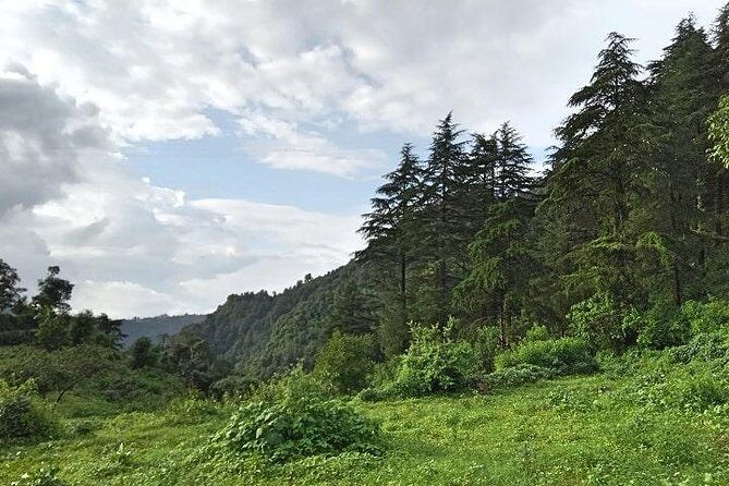 Chhaskhet Nature Walk - Key Points