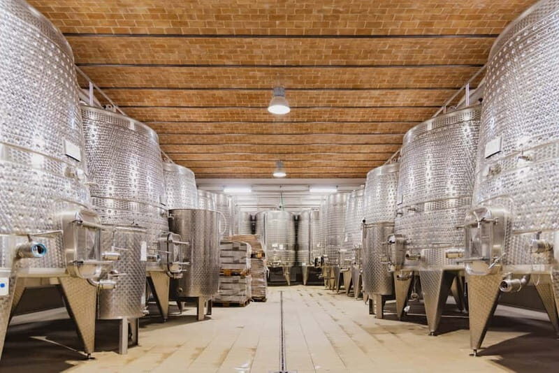 Chianciano Terme: Guided Winery Tour & Wine Tasting - A Genuine Look at the Poggio del Moro Wine Tasting Experience