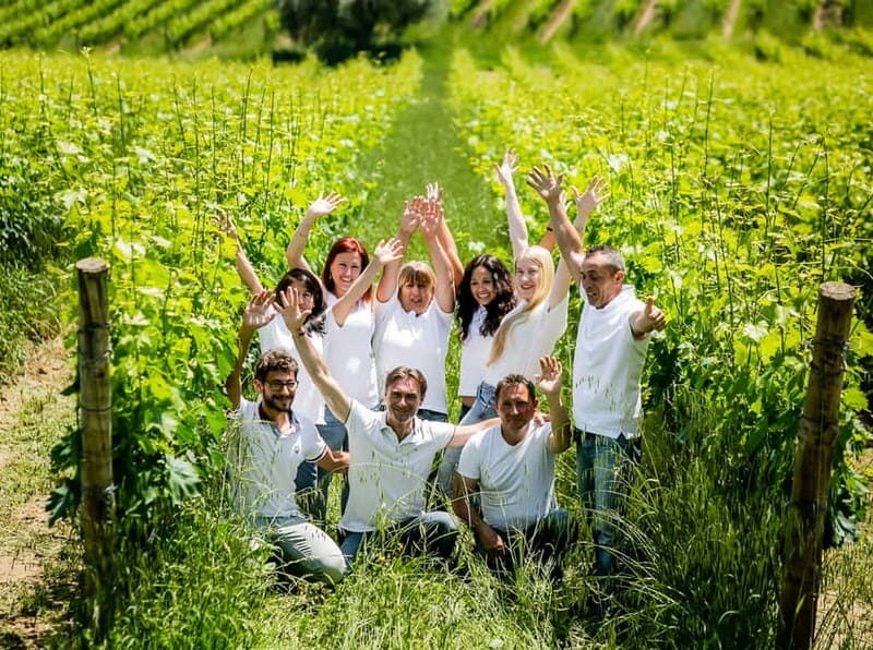 Chianciano Terme: Guided Winery Tour & Wine Tasting - Who Will Love This Tour?