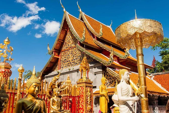 Chiang Mai City, Wat Doi Suthep, Wat Chedi Luang and Wat Pha Lat - Reliability and Customer Feedback