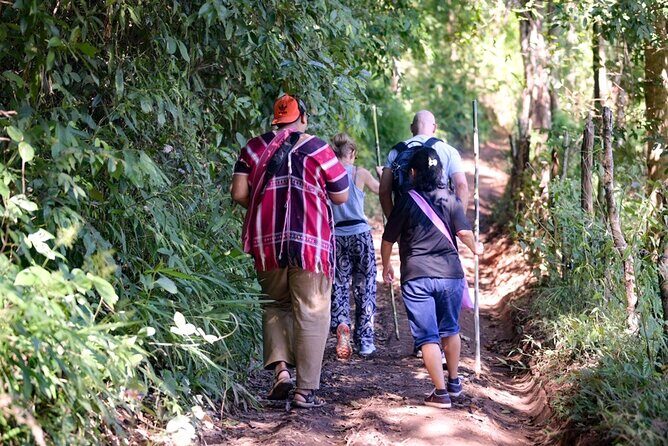 Chiang Mai Coffee Tour: Trekking to Farm, Roast and Brew Workshop - Exploring the Itinerary in Detail
