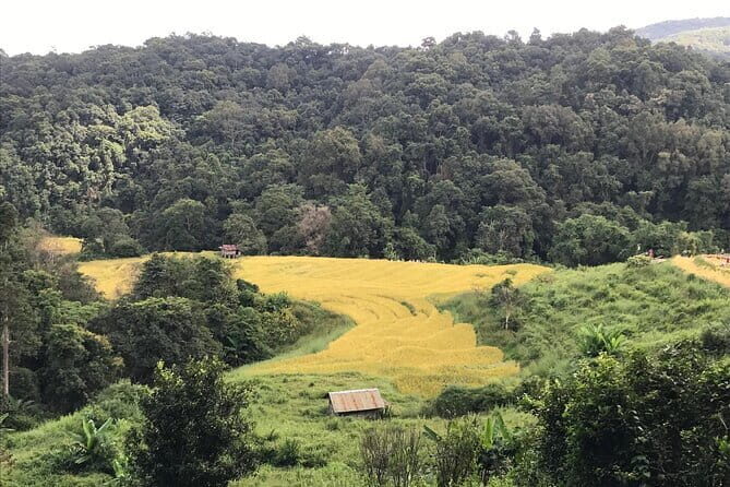 Chiang Mai Doi Inthanon National Park Day Tour - Final Thoughts