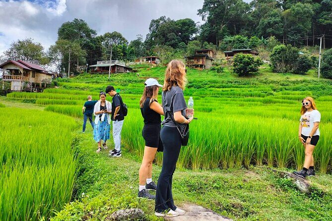 Chiang Mai: Doi Inthanon National Park, Waterfall & Royal Project - Reaching the Peak: Thailand’s Highest Point